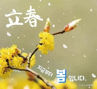 입춘대길 건양다경 봄 새봄 덕담모음
