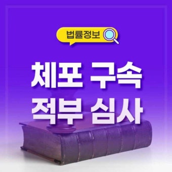 체포구속적부심사 실무적인 감각으로