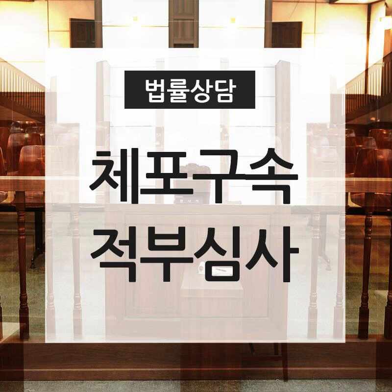 윤석열 구속 전 피의자 심문 앞둔 경찰, 불법폭력행위 강력 대응 예정