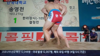 <씨름>강릉단오장사씨름대회~한라장사 4강 결승전~신예 송영천 한라장사 등극~!!