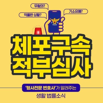 체포구속적부심사 내용을 구체적으로 살펴보면