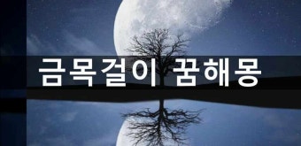 금목걸이꿈 해몽 금목걸이 줍는꿈 받는꿈 목에 거는 꿈 사는 꿈