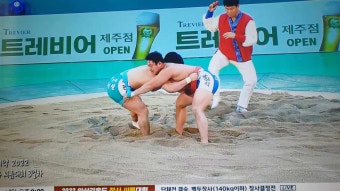 <씨름> 안산 김홍도 장사씨름대회ㅡ한라장사 8강 4강 결승전 차민수 한라장사 등극~!!