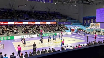 [남자프로배구 V-리그 경기] 대한항공 점보스 VS 한국전력 빅스톰(ft. 대한항공 점보스 홈경기 일정)