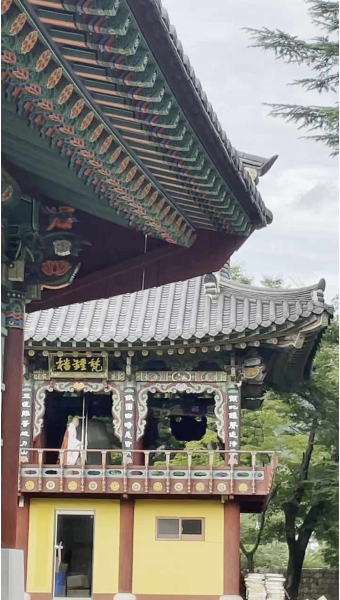 당일치기 부모님과 여행일기 #대구 부모님과 가볼만 곳