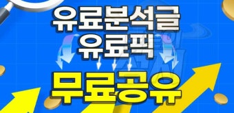 이탈리아 스페인 11월 12일 미국 브라질 농구픽 농구월드컵 농구분석