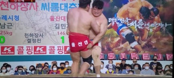 2022,천하장사 씨름대축제 울산대 김민재 천하장사 등극!