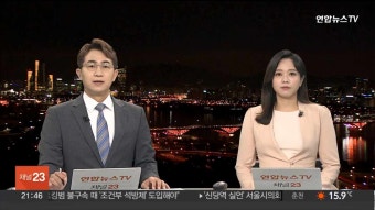 대통령 전용헬기 교체추진 해외 헬기 수입 가능성 혈세낭비 추가