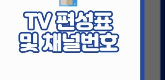 TV편성표 및 채널번호 | tvn 실시간 무료 TV 보기 | jtbc | sbs | mbc | ocn | tv조선 | kbs | ebs