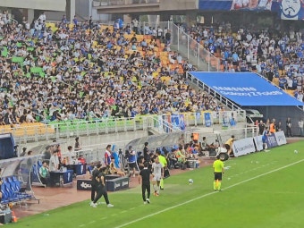 대구fc vs 수원삼성 극장골 넣은 바셀루스 직관후기
