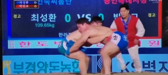 영암군 최성환장사, 천하장사 씨름대축제 한라장사 등극