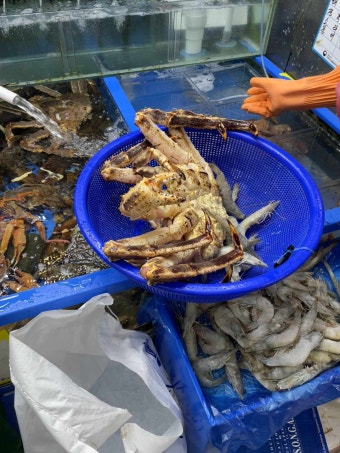 [가락시장] 두근두근 인생 첫 킹크랩 도전기 / 꽃게 러버의 레드 킹크랩 내돈내산 후기