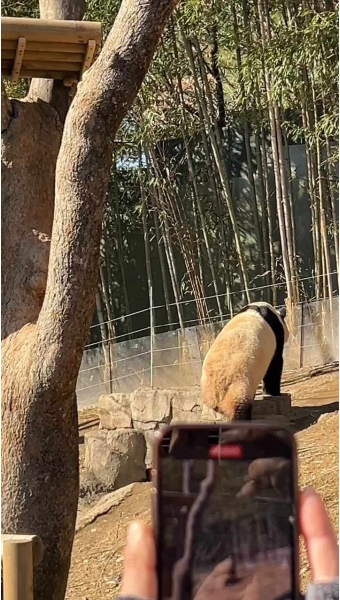 에버랜드