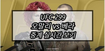 중계 실시간 보기 | UFC 299 밴텀급 타이틀전 경기 일정 시간 매치업 생중계 사이트 tv 방송 채널 하이라이트 좌표 3월 10일 티빙 TVING tvN