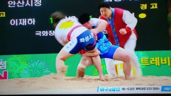 <씨름> 평창오대산천장사씨름대회~여자장사에 최다혜 이재하 김다혜 등극하다~!!