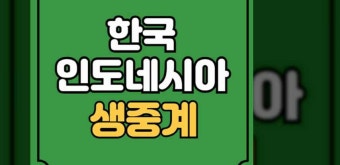 한국 인도네시아 축구 중계 AFC U23 아시안컵 8강 경기시간 2024년 4월 26일 경기 일정 대한민국 인도네시아 8강 황선홍 신태용 인니 선발...