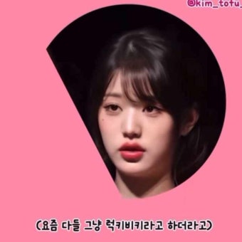 럭키비키 뜻 원영적 사고 의미 아이브 장원영