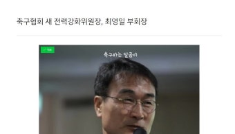 축구협회 전력강화위원장, 최영일 부회장 부임. 역할, 임기 알아보자.