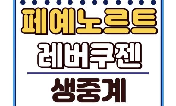 황인범, UCL 16강 향해 페예노르트 엔진 발진!