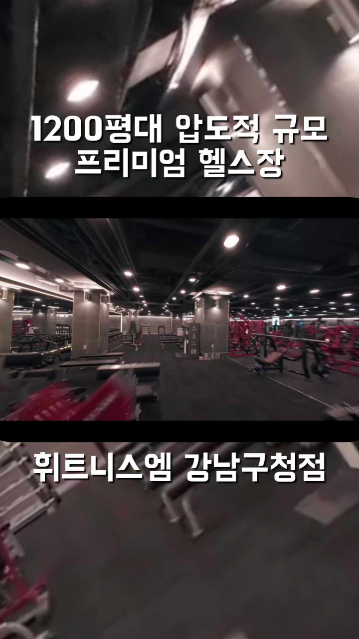 강남구 헬스장 퇴거 논란, 양치승 씨가 강남구청 고소
