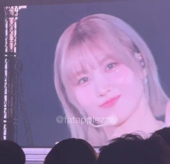 250115 트둥실록 트와이스 떡밥정리 <미사모 도쿄돔 공연>