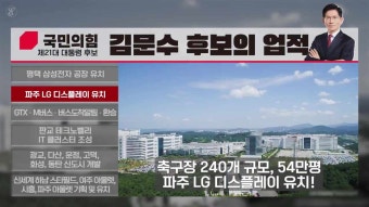 내가 김문수를 지지하는 이유