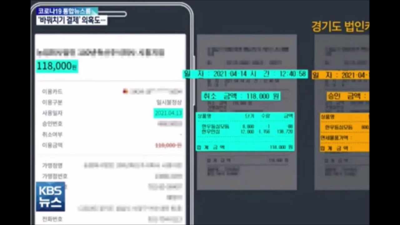 김혜경 씨, 법인카드 유용 관련 기소유예 처분에 불복해 헌법소원 제출세부
