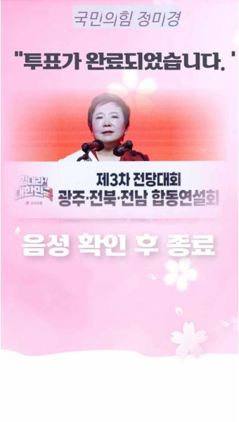 최고위원정미경 국민의힘정미경 정미경최고위원후보 최고위원출마정미경 정미경출마 정미경 정미경최고위원 정미경후보 최고위원투표정미경...