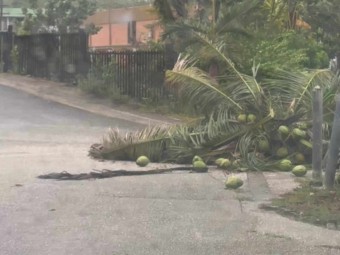 괌 태풍 날씨로 인한 피해