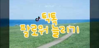 틱톡 팔로워 늘리기 셀프 도전해 봤어요!
