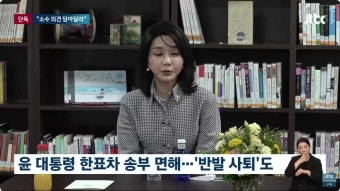 '명품백 종결' 의결서 통과 불발…일부 권익위 전원위원 '서명 거부'