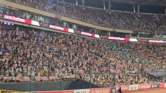 로하스 홈런!