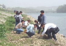 남강둔치에 갯버들 심는 대학과 행정