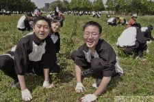 농장체험활동 하는 제주 수학여행단