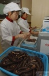 해외로 수출되는 순대