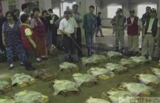 활기 되찾은 옹진수협 공판장