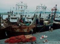 출항 준비에 바쁜 군산항