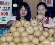 첫 출하된 `햇배드세요!