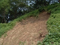 경주 반월성 태풍으로 성벽 무너져