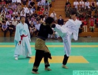 세계 무술 고수의 대결