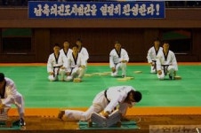 남한 태권도 평양 공연 격파시범