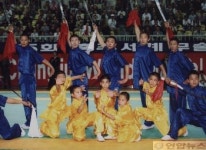 무술축제 최고 인기 베이징 우슈팀