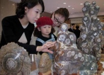 한국 꽃돌 대전