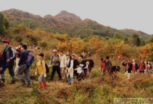 금수산 단풍 축제로의 초대