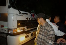 호주산 생우 목장 입식 막는 축산농민