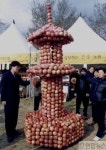 신기한 사과탑