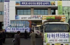 철원군으로 향하는 남제주군 감귤