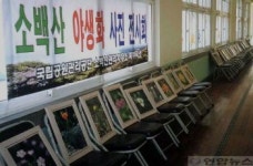 소백산 자생 야생화 전시