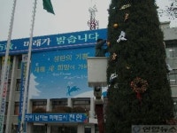 천안시청 앞 마당에 등장한 대형 트리