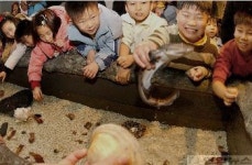 해양생물 직접만지면서 구경해요